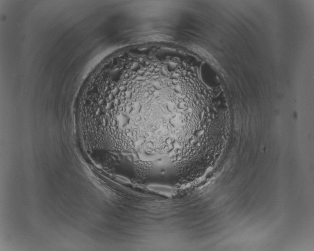 X0000070231031200605301450