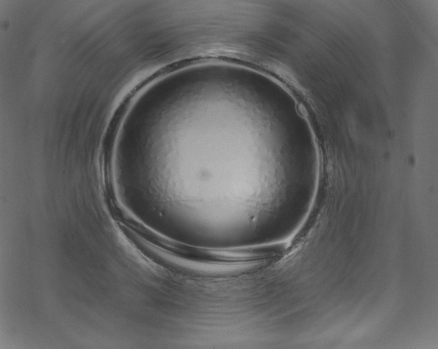 X0000070231032200605301450