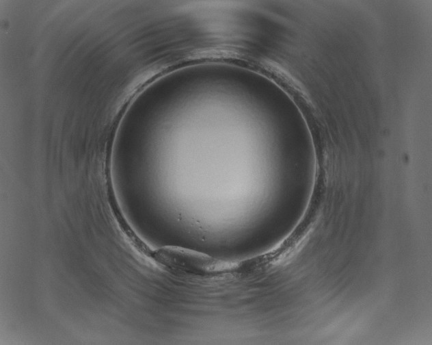 X0000070231033200605301450