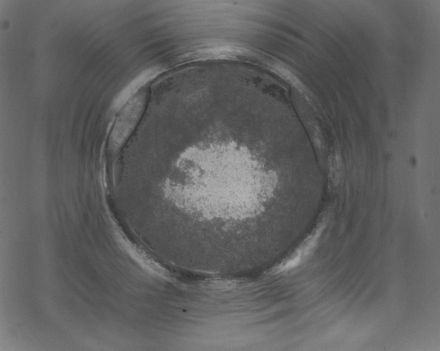 X0000070231034200605301450