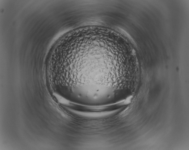 X0000070231035200605301450