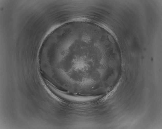 X0000070231037200605301450