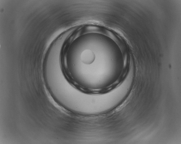 X0000070231038200605301450