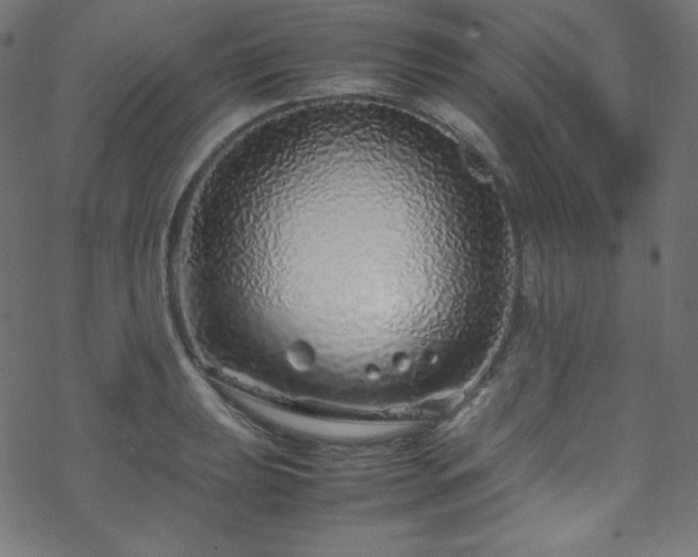 X0000070231039200605301450