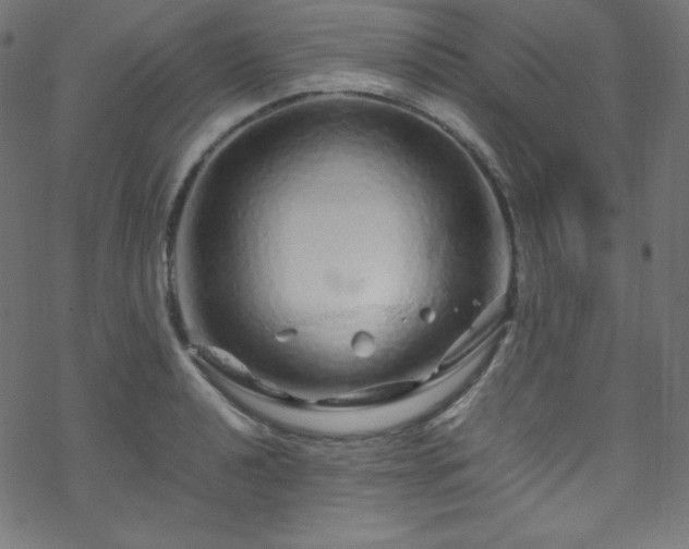 X0000070231040200605301450