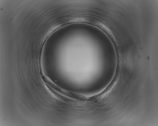 X0000070231041200605301450