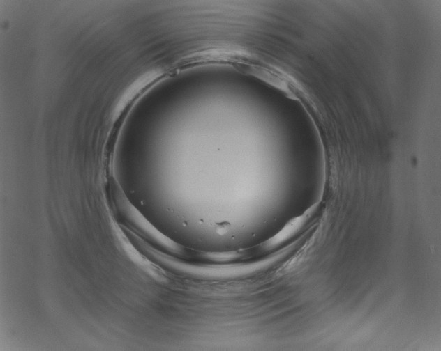 X0000070231042200605301450