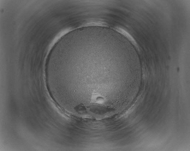 X0000070231043200605301450