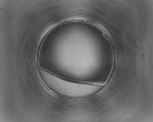 X0000070231044200605301450