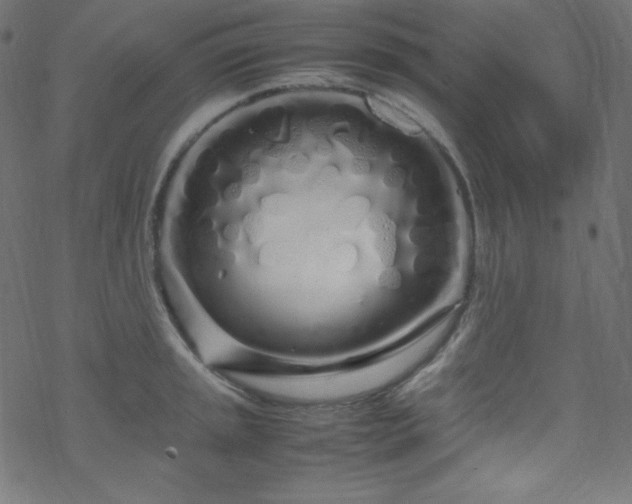 X0000070231045200605301450