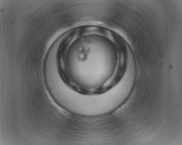 X0000070231046200605301450