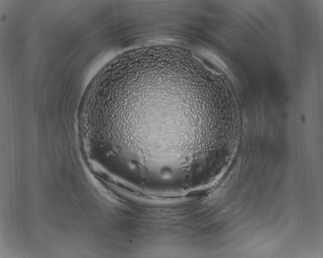 X0000070231047200605301450