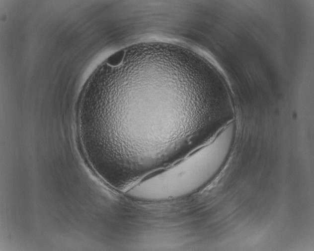 X0000070231048200605301450