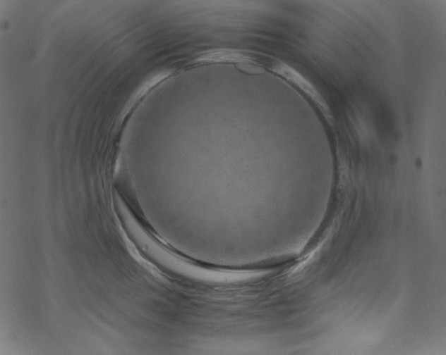 X0000070231049200605301450