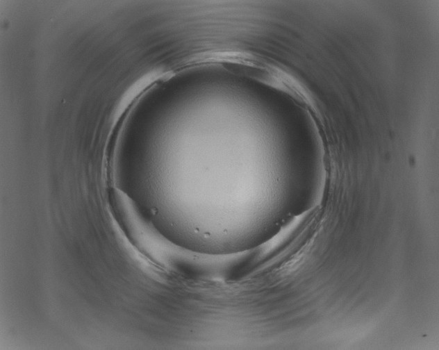 X0000070231050200605301451