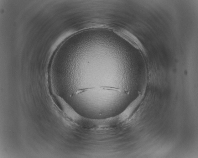 X0000070231051200605301451