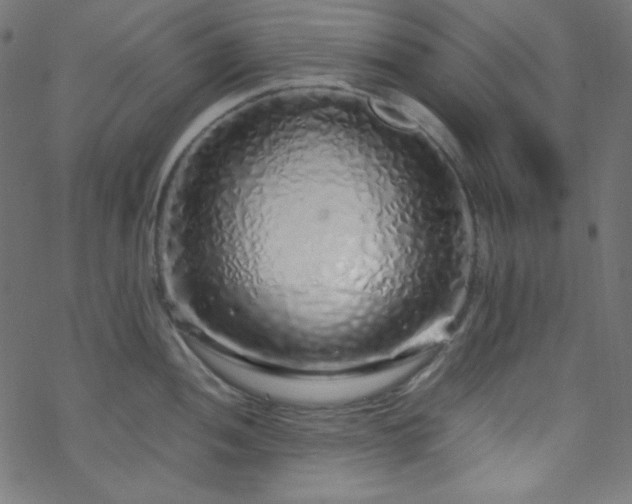 X0000070231052200605301451