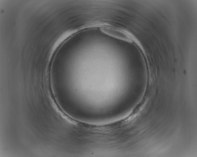 X0000070231053200605301451