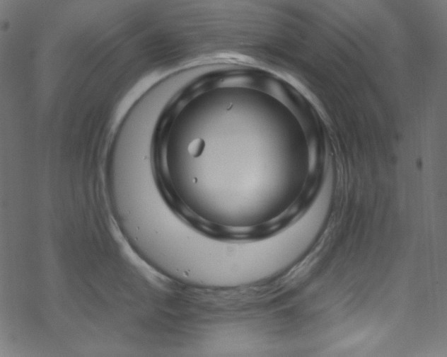 X0000070231054200605301451