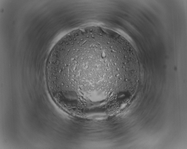 X0000070231055200605301451