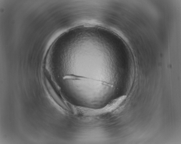 X0000070231056200605301451