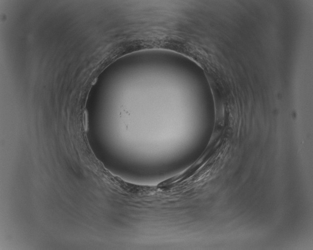 X0000070231057200605301450