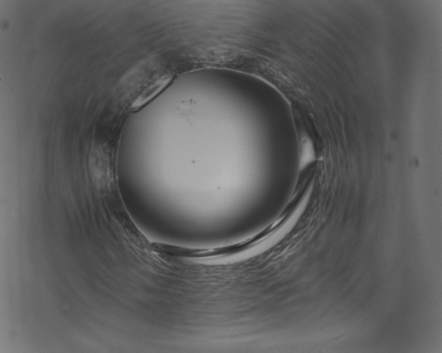 X0000070231058200605301450