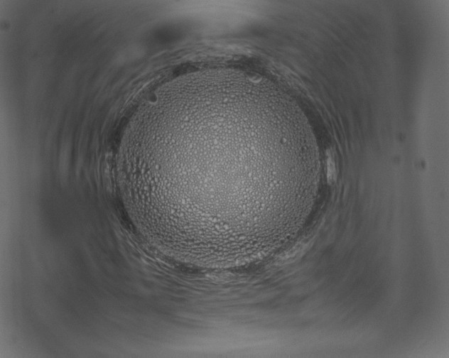 X0000070231059200605301450