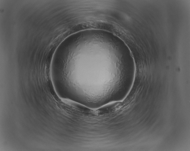 X0000070231060200605301450