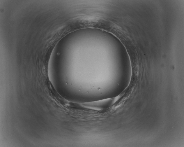 X0000070231061200605301450