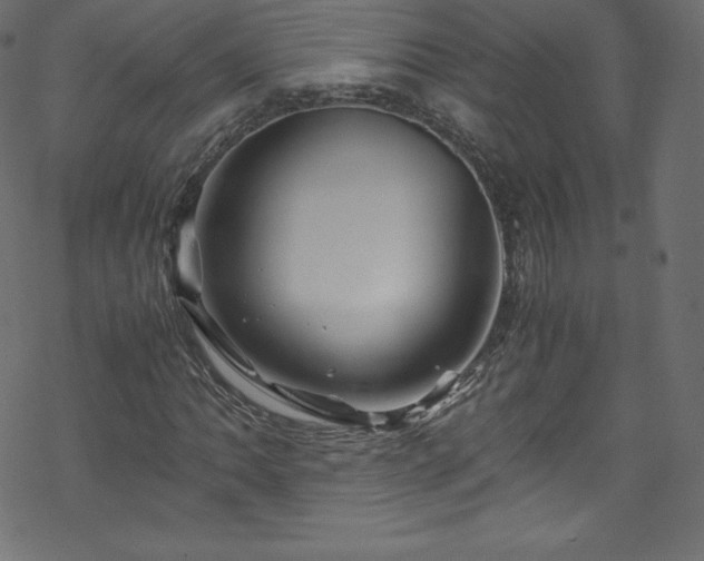 X0000070231062200605301450