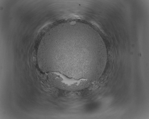 X0000070231063200605301450