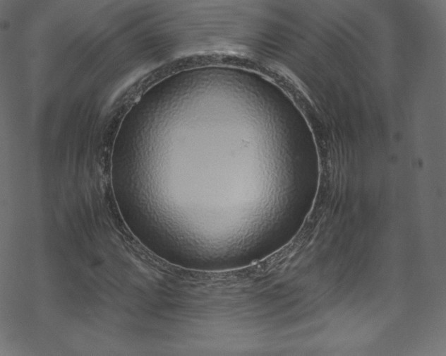 X0000070231064200605301450