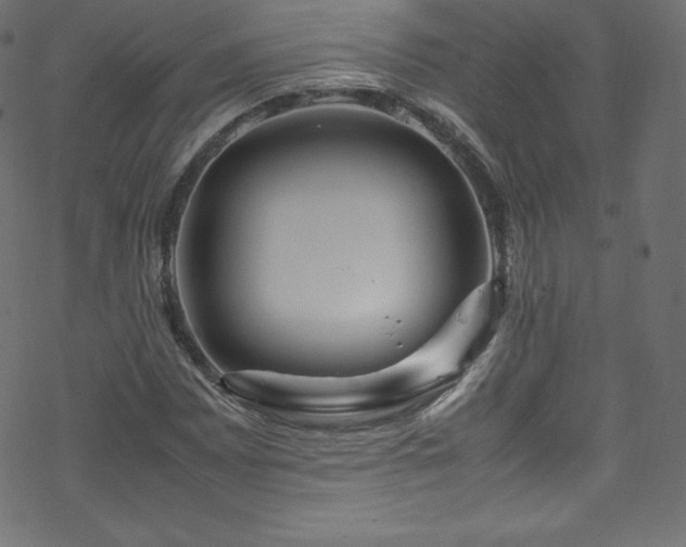 X0000070231065200605301450