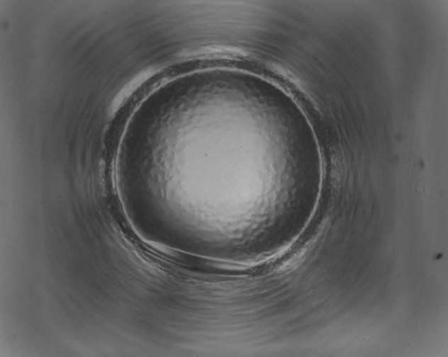 X0000070231066200605301450