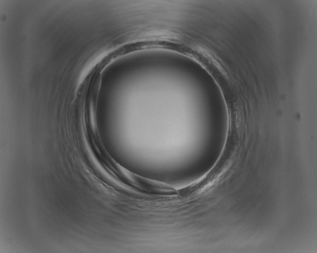 X0000070231069200605301450