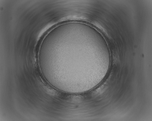 X0000070231070200605301450