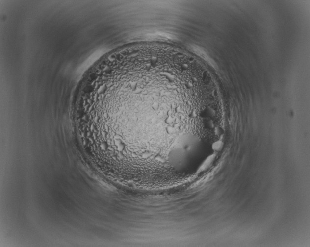 X0000070231071200605301450