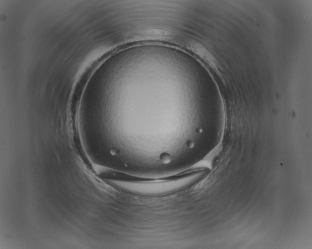 X0000070231072200605301450