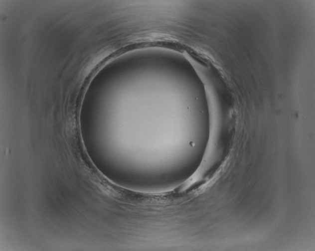 X0000070231073200605301450