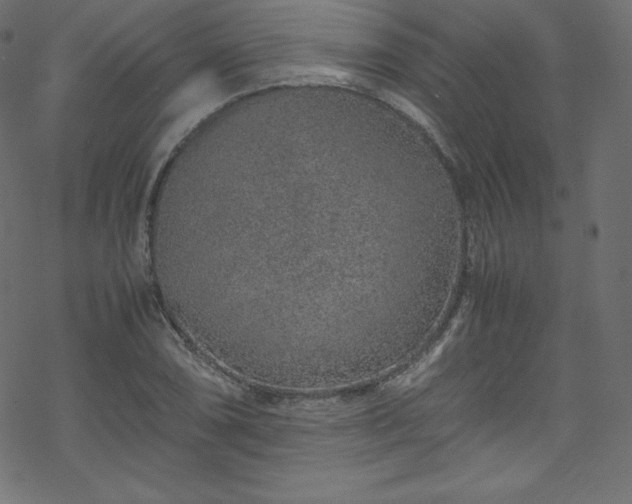 X0000070231074200605301450