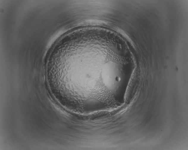 X0000070231075200605301450