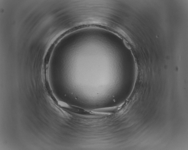 X0000070231076200605301450