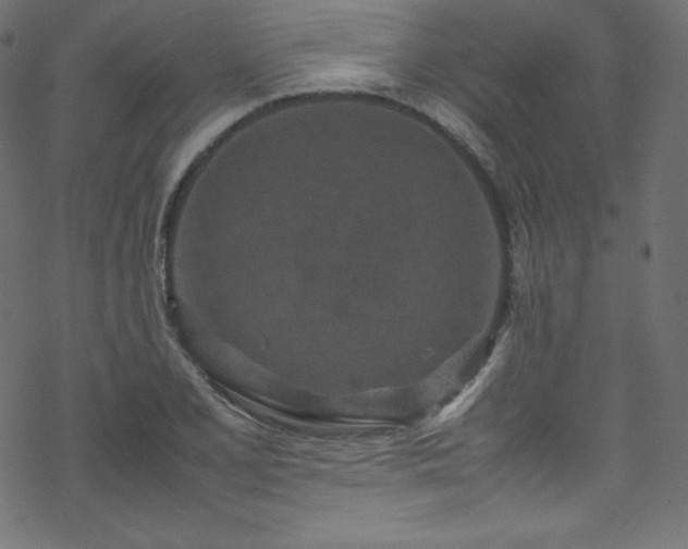 X0000070231077200605301450