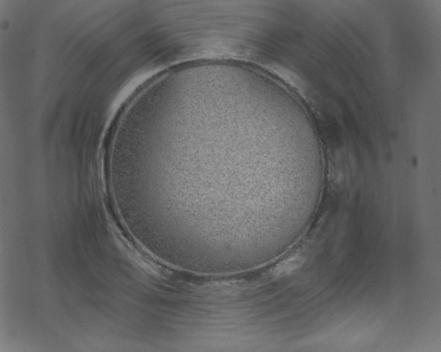 X0000070231078200605301449