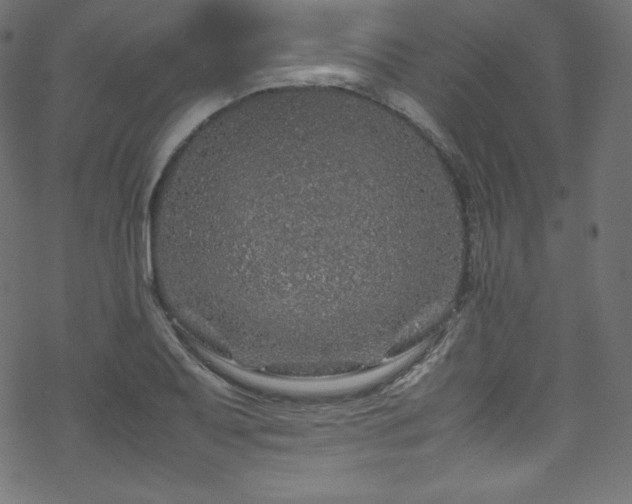 X0000070231079200605301449