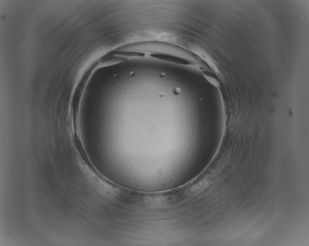 X0000070231080200605301449