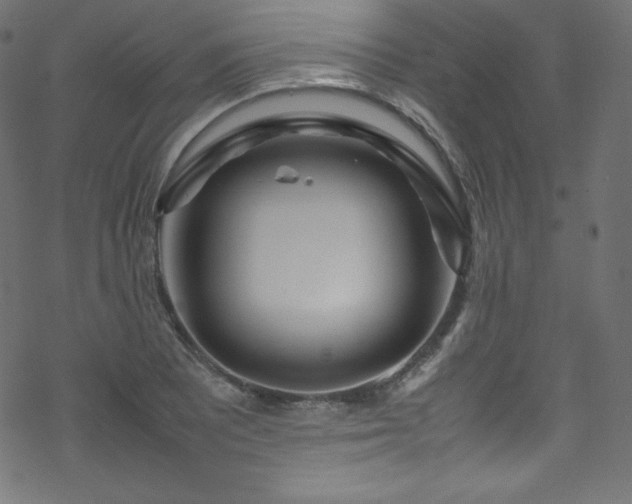 X0000070231081200605301449