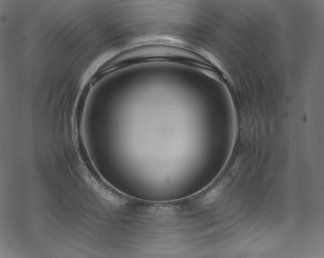 X0000070231082200605301449