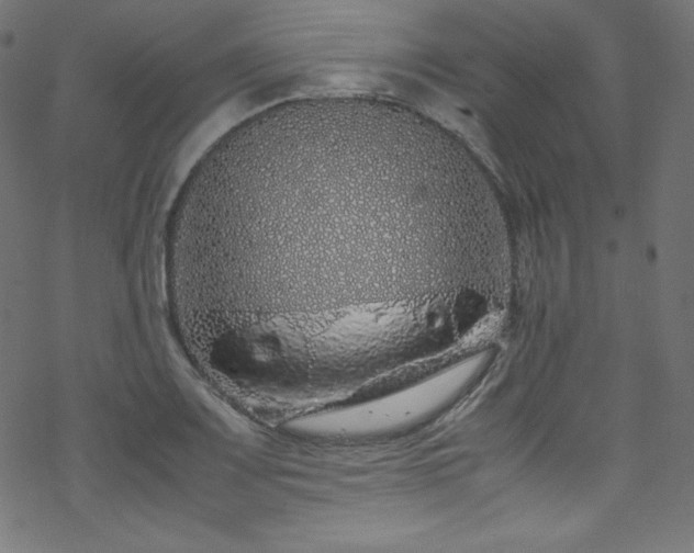 X0000070231083200605301449